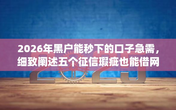 2026年黑户能秒下的口子急需，细致阐述五个征信瑕疵也能借网贷轻松下款的app
