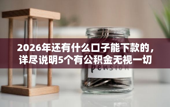 2026年还有什么口子能下款的，详尽说明5个有公积金无视一切的口子