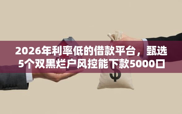 2026年利率低的借款平台，甄选5个双黑烂户风控能下款5000口子
