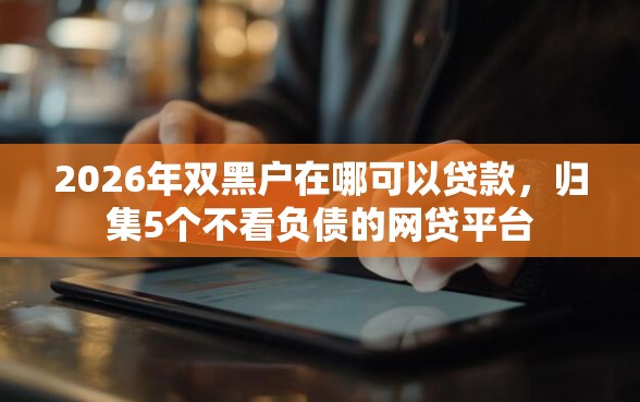 2026年双黑户在哪可以贷款，归集5个不看负债的网贷平台
