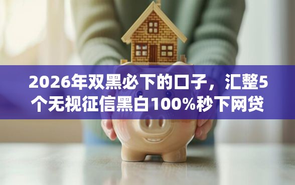 2026年双黑必下的口子，汇整5个无视征信黑白100%秒下网贷app