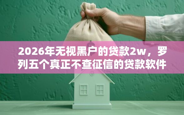 2026年无视黑户的贷款2w，罗列五个真正不查征信的贷款软件
