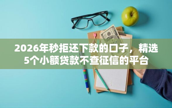 2026年秒拒还下款的口子，精选5个小额贷款不查征信的平台