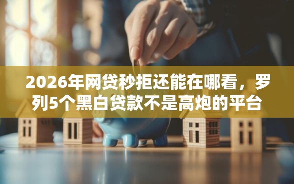 2026年网贷秒拒还能在哪看，罗列5个黑白贷款不是高炮的平台