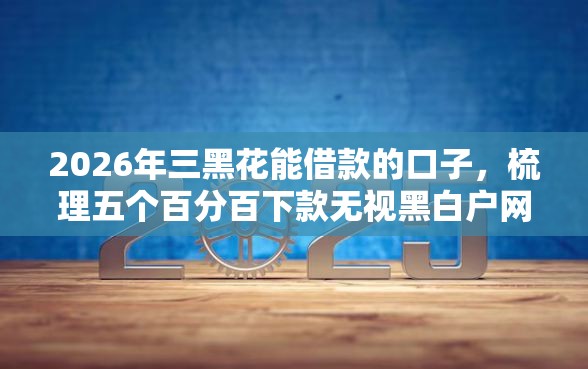 2026年三黑花能借款的口子，梳理五个百分百下款无视黑白户网贷平台