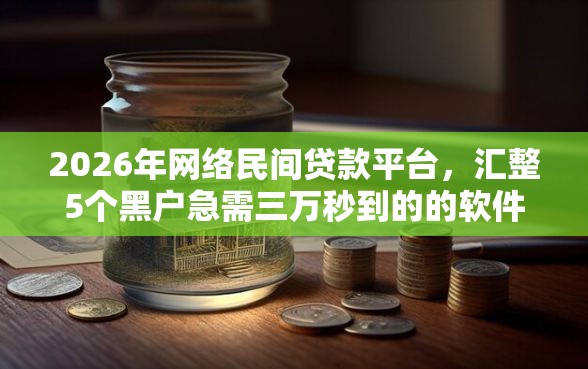 2026年网络民间贷款平台，汇整5个黑户急需三万秒到的的软件