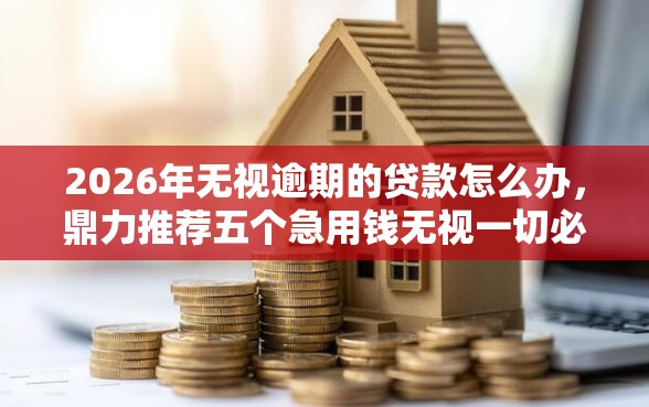 2026年无视逾期的贷款怎么办，鼎力推荐五个急用钱无视一切必下款的口子