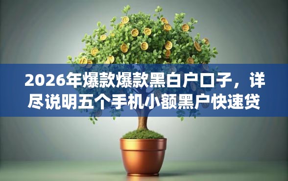 2026年爆款爆款黑白户口子，详尽说明五个手机小额黑户快速贷款app