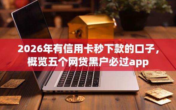 2026年有信用卡秒下款的口子，概览五个网贷黑户必过app