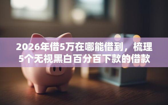 2026年借5万在哪能借到，梳理5个无视黑白百分百下款的借款平台
