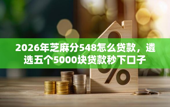 2026年芝麻分548怎么贷款，遴选五个5000块贷款秒下口子