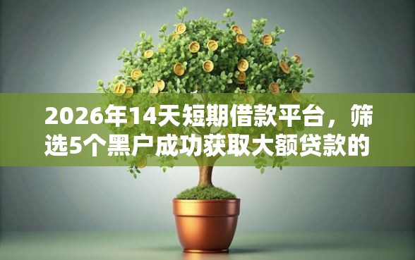 2026年14天短期借款平台，筛选5个黑户成功获取大额贷款的平台