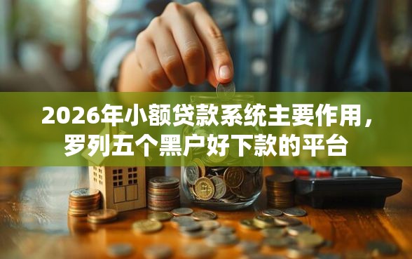 2026年小额贷款系统主要作用，罗列五个黑户好下款的平台
