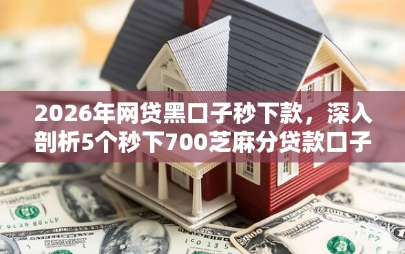 2026年网贷黑口子秒下款，深入剖析5个秒下700芝麻分贷款口子