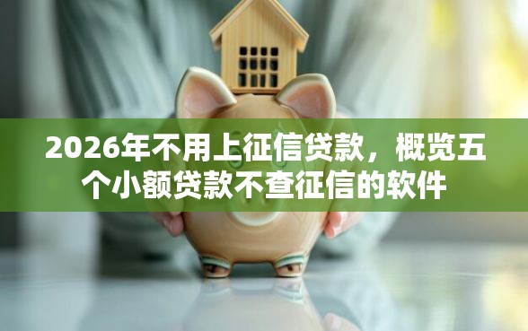 2026年不用上征信贷款，概览五个小额贷款不查征信的软件