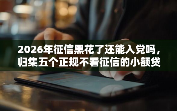 2026年征信黑花了还能入党吗，归集五个正规不看征信的小额贷款软件