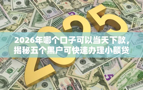 2026年哪个口子可以当天下款，揭秘五个黑户可快速办理小额贷款业务的软件
