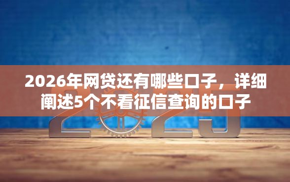 2026年网贷还有哪些口子，详细阐述5个不看征信查询的口子