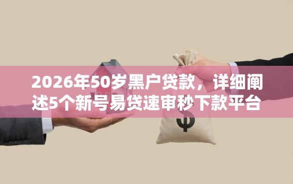 2026年50岁黑户贷款，详细阐述5个新号易贷速审秒下款平台