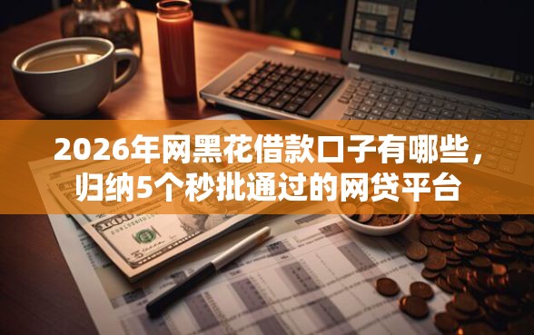 2026年网黑花借款口子有哪些，归纳5个秒批通过的网贷平台