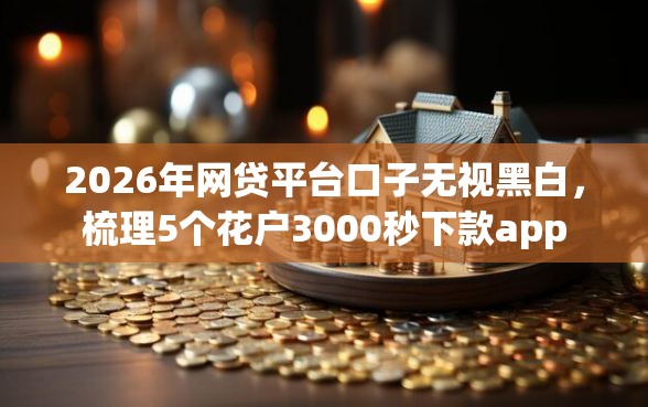 2026年网贷平台口子无视黑白，梳理5个花户3000秒下款app