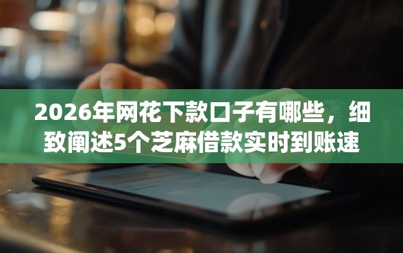 2026年网花下款口子有哪些，细致阐述5个芝麻借款实时到账速借app
