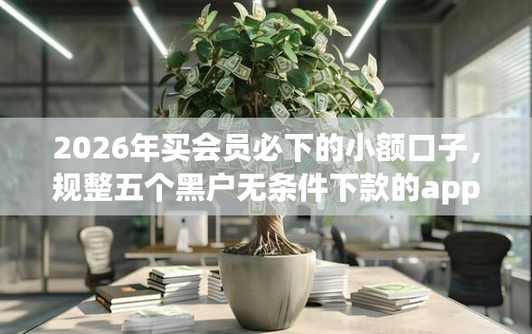 2026年买会员必下的小额口子，规整五个黑户无条件下款的app