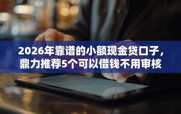 2026年靠谱的小额现金贷口子，鼎力推荐5个可以借钱不用审核的口子