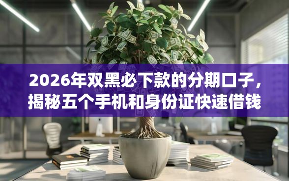 2026年双黑必下款的分期口子，揭秘五个手机和身份证快速借钱app