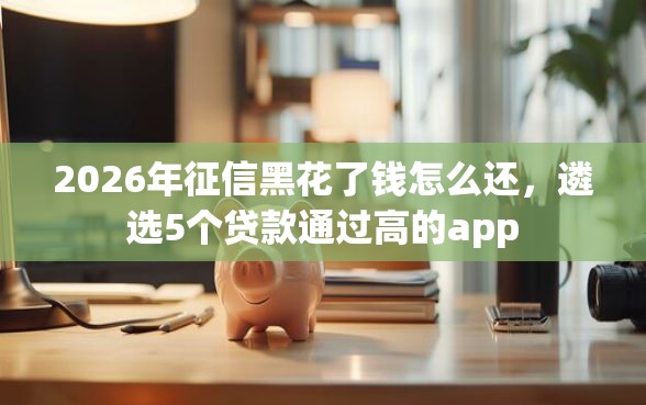 2026年征信黑花了钱怎么还，遴选5个贷款通过高的app