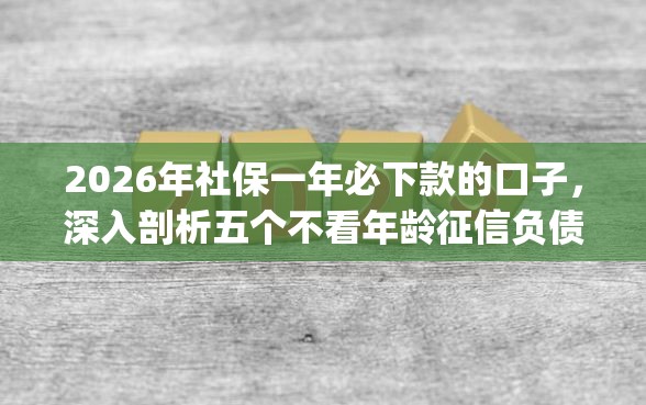 2026年社保一年必下款的口子，深入剖析五个不看年龄征信负债的app