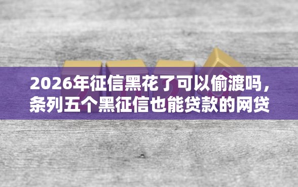 2026年征信黑花了可以偷渡吗,条列五个黑征信也能贷款的网贷平台 2026年征信黑花了可以偷渡吗,条列五个黑征信也能贷款的网贷平台
