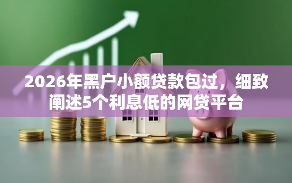 2026年黑户小额贷款包过，细致阐述5个利息低的网贷平台