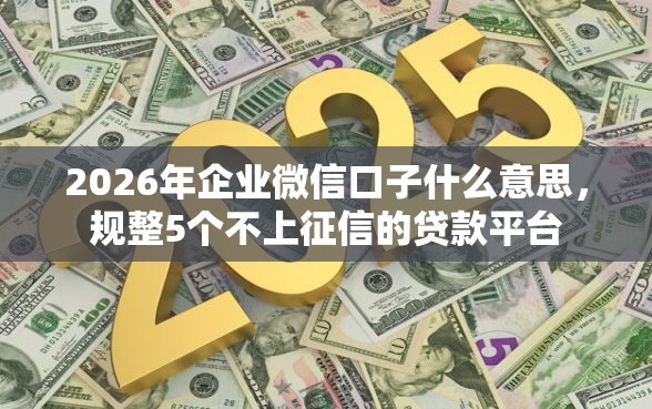 2026年企业微信口子什么意思，规整5个不上征信的贷款平台