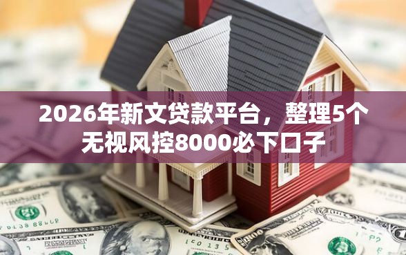 2026年新文贷款平台，整理5个无视风控8000必下口子