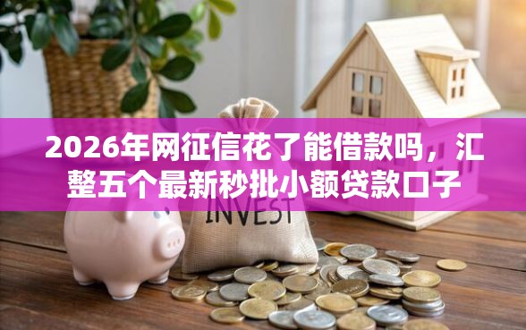 2026年网征信花了能借款吗，汇整五个最新秒批小额贷款口子