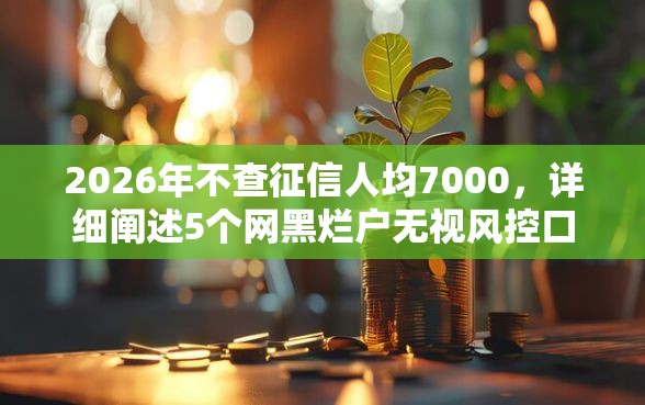 2026年不查征信人均7000，详细阐述5个网黑烂户无视风控口子