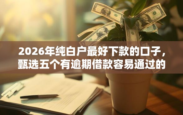 2026年纯白户最好下款的口子，甄选五个有逾期借款容易通过的软件