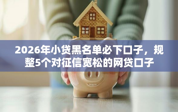 2026年小贷黑名单必下口子，规整5个对征信宽松的网贷口子