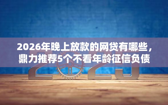 2026年晚上放款的网贷有哪些，鼎力推荐5个不看年龄征信负债的软件