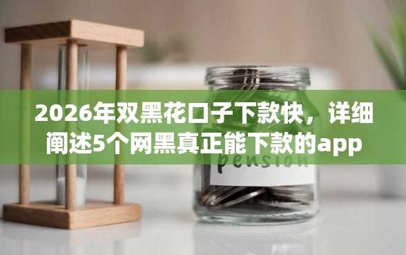 2026年双黑花口子下款快，详细阐述5个网黑真正能下款的app