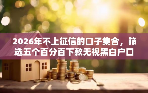 2026年不上征信的口子集合，筛选五个百分百下款无视黑白户口子