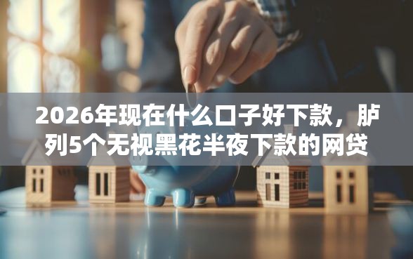 2026年现在什么口子好下款，胪列5个无视黑花半夜下款的网贷软件