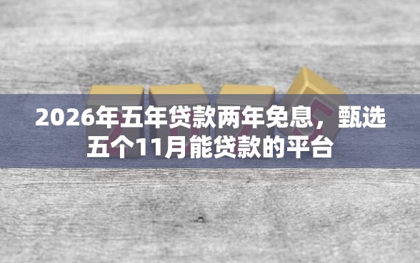 2026年五年贷款两年免息，甄选五个11月能贷款的平台