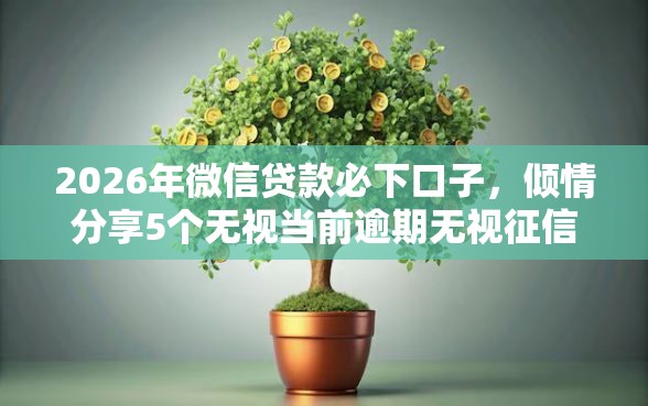 2026年微信贷款必下口子，倾情分享5个无视当前逾期无视征信的借款口子