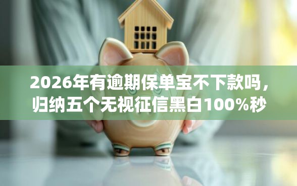 2026年有逾期保单宝不下款吗，归纳五个无视征信黑白100%秒下app