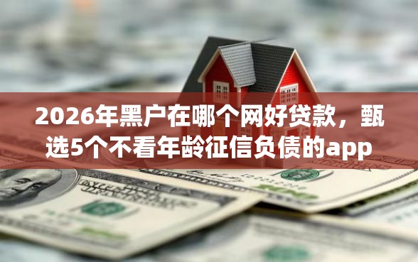 2026年黑户在哪个网好贷款，甄选5个不看年龄征信负债的app