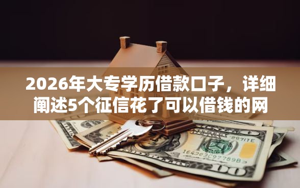 2026年大专学历借款口子，详细阐述5个征信花了可以借钱的网贷平台