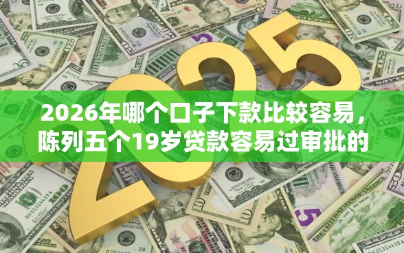2026年哪个口子下款比较容易，陈列五个19岁贷款容易过审批的口子