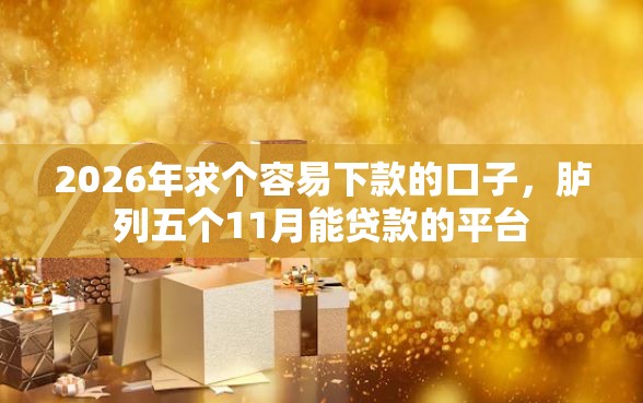 2026年求个容易下款的口子，胪列五个11月能贷款的平台